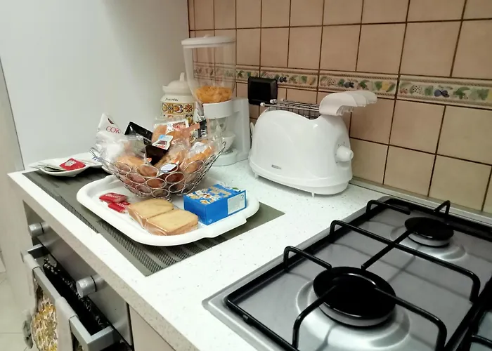 Curchitica 阿沃拉