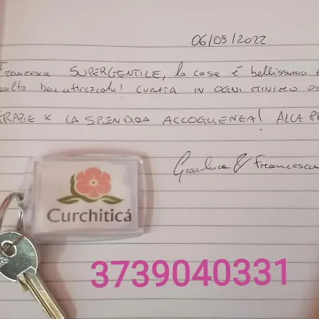 Curchitica * Avola